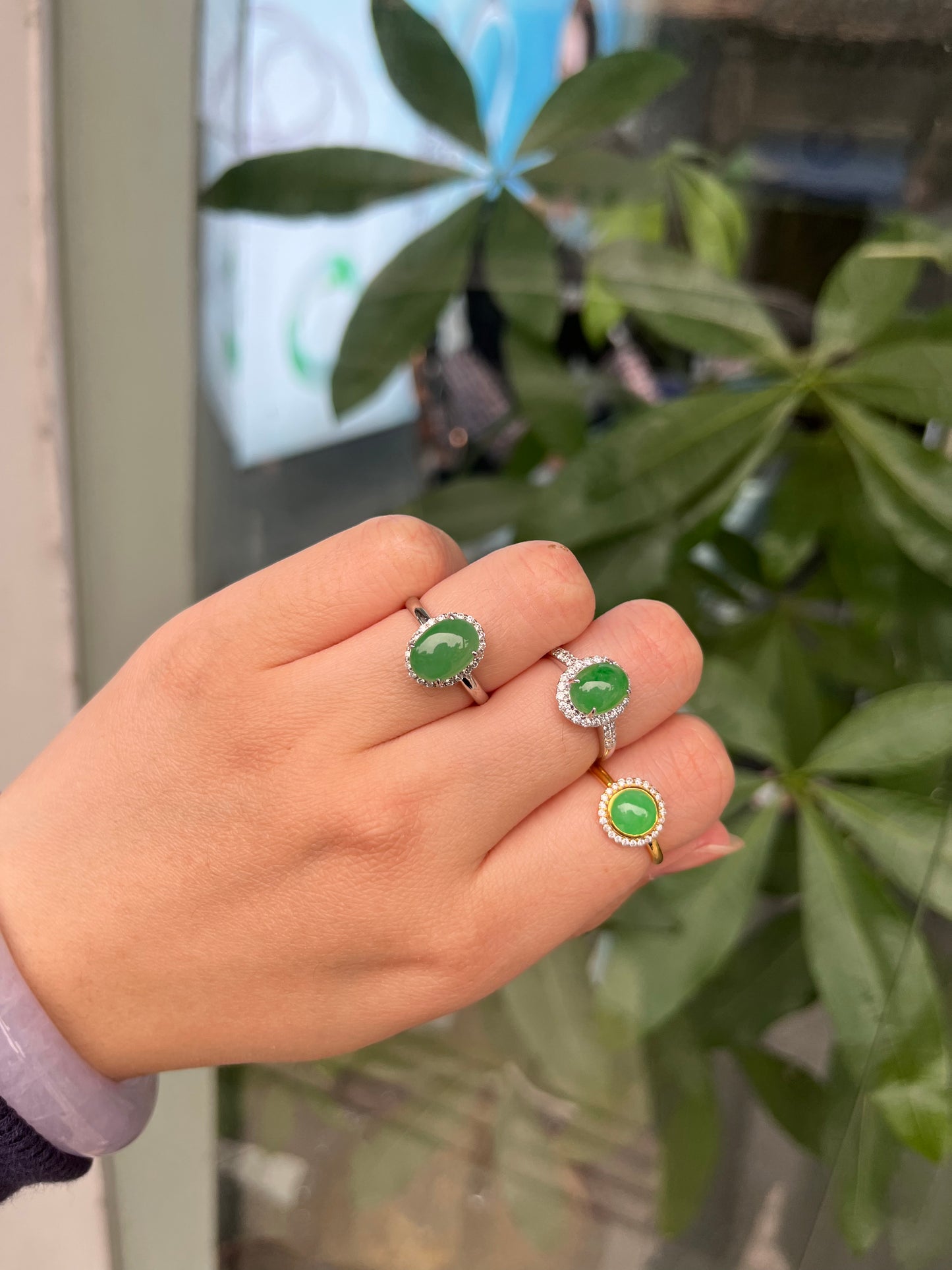 18K Gold Green Jadeite Ring