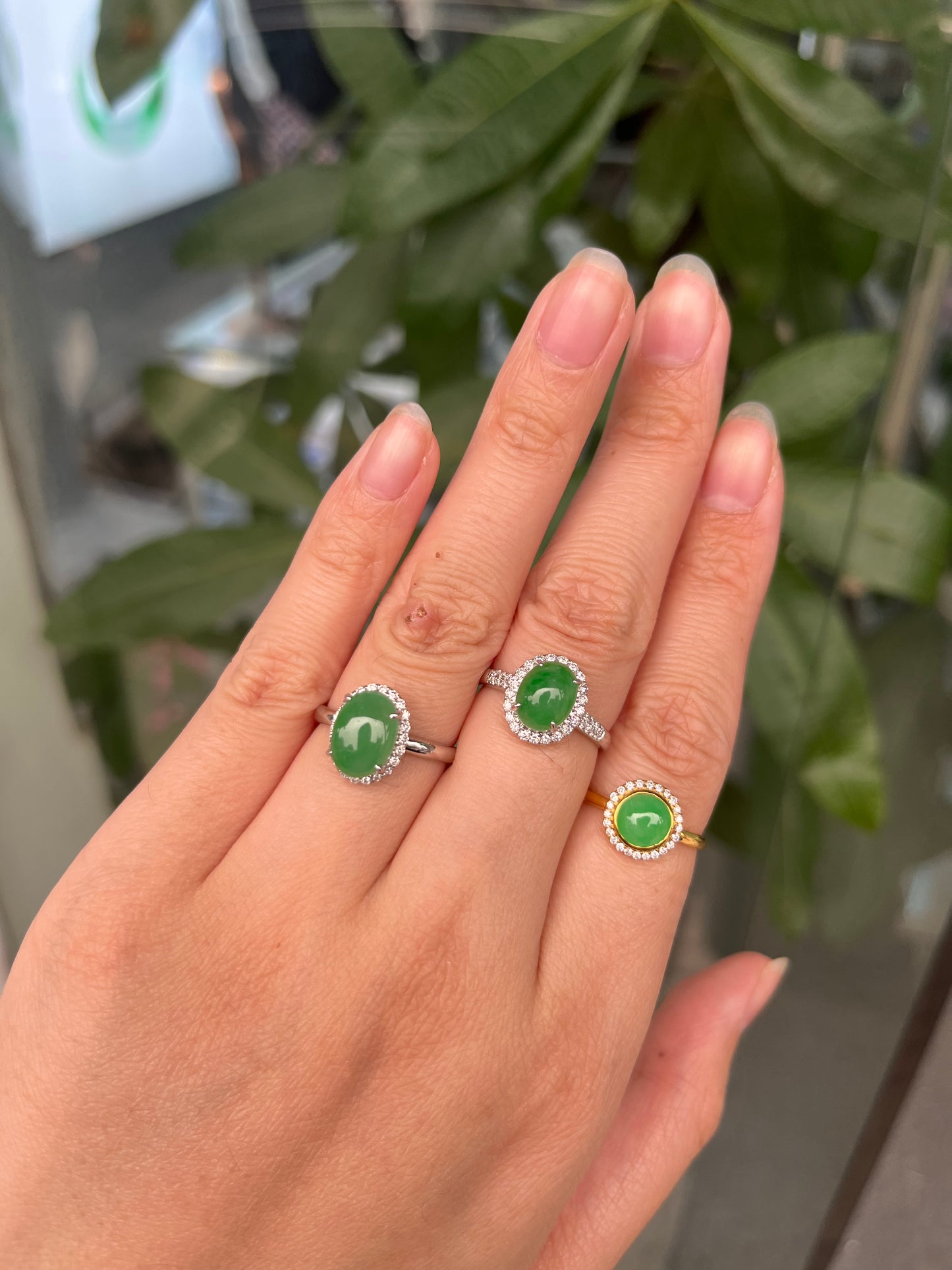 18K Gold Green Jadeite Ring